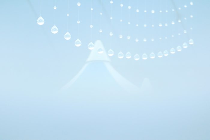 私とホメオパシー